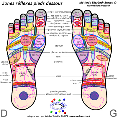 Etude pilote sur les bienfaits de la REFLEXOLOGIE